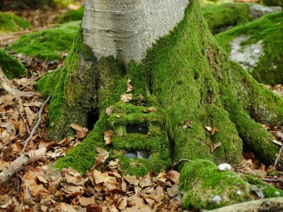 Maskování fotopastí: Maskovací krabička, detail