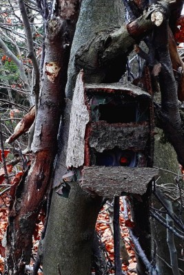 Maskování fotopastí: Zamaskovaná krabička, detail