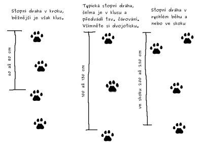 rysi stopni draha.png
