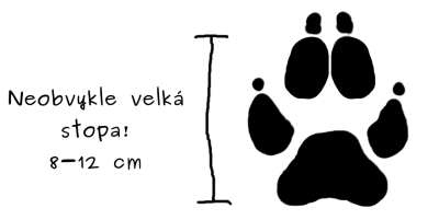 vlci stopa - popisky hlavni.png (32.74 KiB) Zobrazeno 29655 x vlčí stopa, vzorová ilustrace